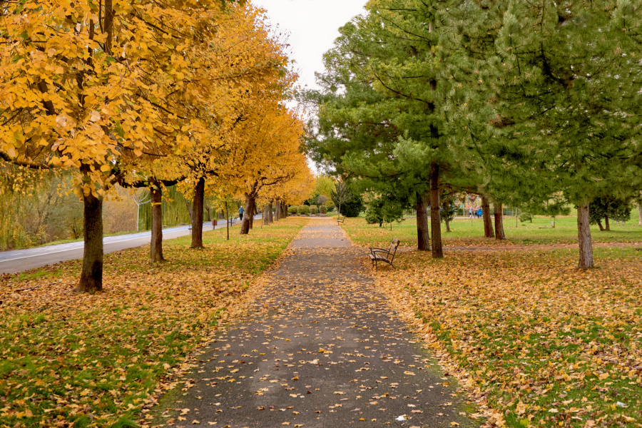 fotograf%20arad%20dolha%20photography%204